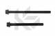 Cylinder Head Bolt Set - 027.850 ELRING - 1079925, 1079926, 016708B