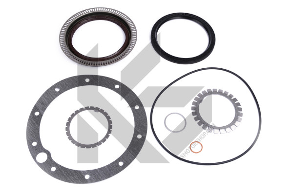 147.740, Dichtungssatz, Radnabe, Dichtung verschiedene, ELRING, LKW/TRUCK/CAMION, LKWTRUCKCAMION