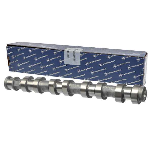 50006152, Nockenwelle, Nockenwelle, KOLBENSCHMIDT, 0636025, CAM907, CP12250, 636025