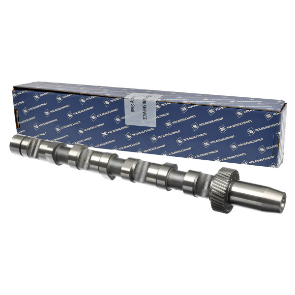 50006301, Nockenwelle, Nockenwelle, KOLBENSCHMIDT, 059109021BQ, 059109021L, 059109021P, 215408, 26976, 93157300, CAM701, CP10242