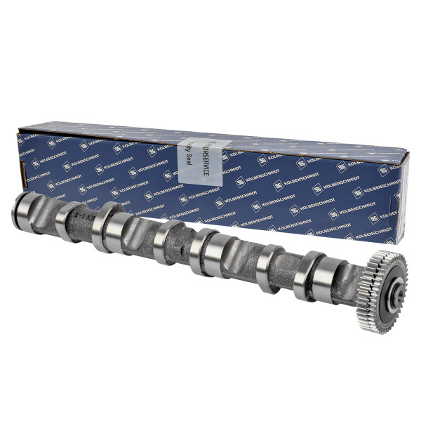50006344, Camshaft, Camshaft, KOLBENSCHMIDT, Skoda Superb, VW Passat, Audi A4 A6 2,5TDI BDG BDH 2000-2006, 059109009BH, 059109022AF, 059109022BQ, CP10275