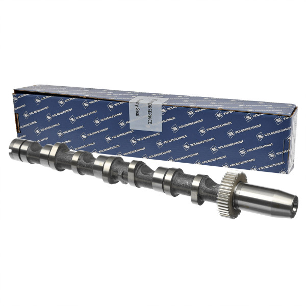 50006347, Camshaft, Camshaft, KOLBENSCHMIDT, Skoda Superb, VW Passat, Audi A4 A6 2,5TDI BDG BDH 2000-2006, 059109021AS, 059109021CL, 059109021CS, CP10276