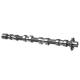 Camshaft - 50007010 KOLBENSCHMIDT - 0801AC, CAM748, CP15032