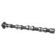 Camshaft - 50007010 KOLBENSCHMIDT - 0801AC, CAM748, CP15032