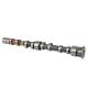 Camshaft - 50007025 KOLBENSCHMIDT - 03C109101CP, 50007025