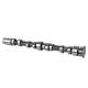 Camshaft - 50007034 KOLBENSCHMIDT - 03C109101AT, 50007034