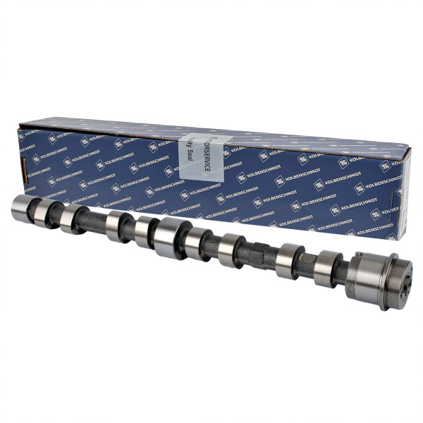 50007047, Nockenwelle, Nockenwelle, KOLBENSCHMIDT, 0801EN, 504080985, MK667942, 0801GA, 504246093, 0801GG, 101995, CM05-2273