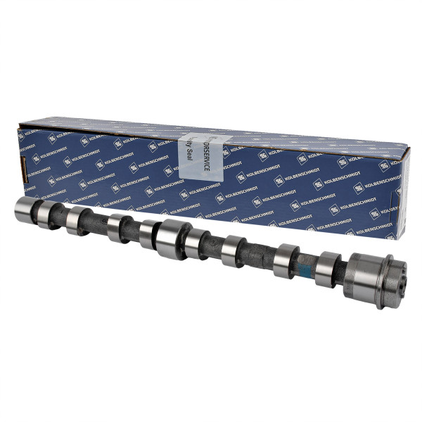 50007048, Nockenwelle, Nockenwelle, KOLBENSCHMIDT, 0801EL, 504080984, MK667943, 0801GC, 504246094, 101996, 7.55325, CM05-2272