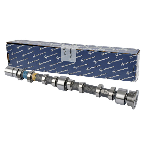 Nockenwelle - 50007056 KOLBENSCHMIDT - 03C109101DD