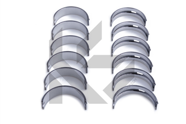 Main bearing set - 77209632 KOLBENSCHMIDT