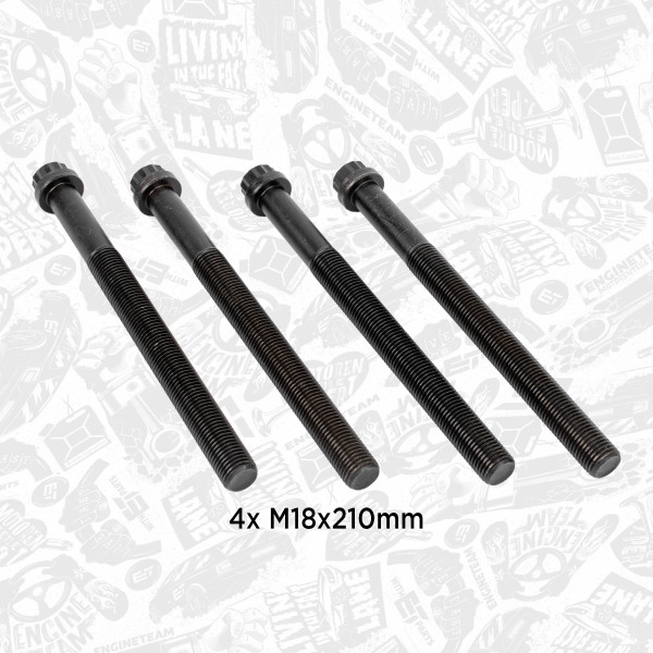 BS0031, Zylinderkopfschraubensatz, Schraubensatz, ET ENGINETEAM, A5419900501, 5419900501, 010121500000, 060.220, 12200, 14-32068-01, 20080350010