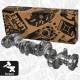 Crankshaft - HK0211 ET ENGINETEAM - 11218512217