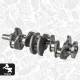 Crankshaft - HK0215 ET ENGINETEAM - 2213877, GK2Q-6300-CB, GK2Q6300CB