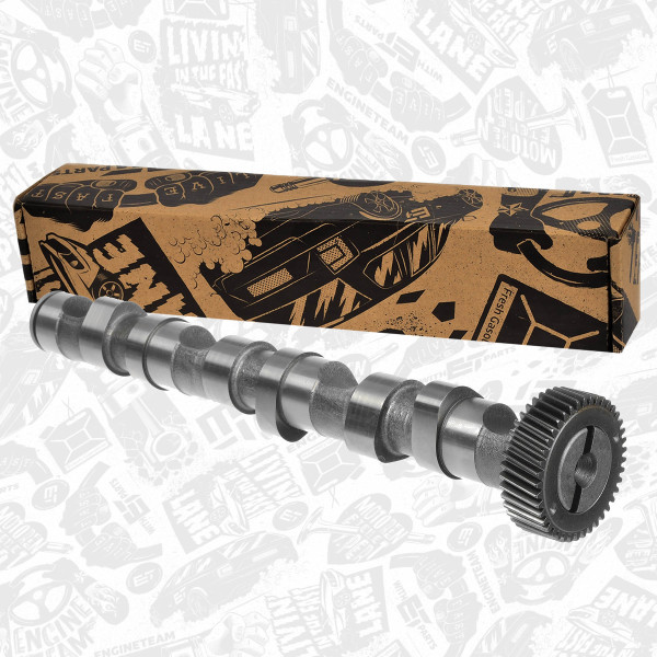 HV0010, Camshaft, Camshaft, ET ENGINETEAM, Skoda Superb, VW Passat, Audi A4/A6/A8 2,5TDI AFB/AKE/AKN/AYM/BFC 1997-2005, 059109022BC, 50006303, 647119, CAM702, CP10242