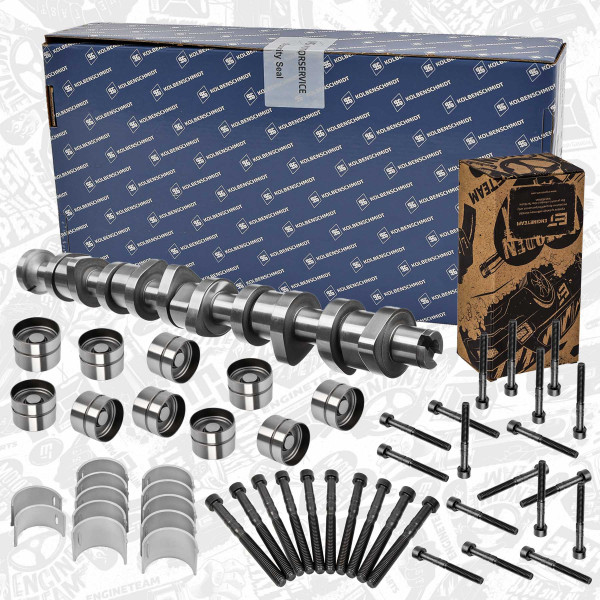HV0339KS, Nockenwellensatz, Nockenwellensatz, KOLBENSCHMIDT, VW Tuareg Transporter Multivan 2,5TDI PD AXD AXE BAC BLJ BLK 2003+, 070109101P, 038103673B, 038103673C, 070103673A, 070103673B, 734828, 734828STD, 038103714, 038103714G, 038109309A, 038109309B, 038109309C, 1100677, 1426035, 038103714A, 50007577, CAM730, CAM916