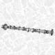 Camshaft - HV0376 ET ENGINETEAM - 06D109101AL, 06D109101AP, 50007588