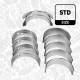Crankshaft Bearings - LH001000 ET ENGINETEAM - 2995574, 500054637, 163030