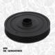 Belt Pulley, crankshaft - PC0013 ET ENGINETEAM - 8200451065, 8200276838, 8200638754