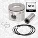 Piston - PM004500 ET ENGINETEAM - 12010-DB000, 12010-DB010, 41274600