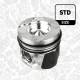 Piston - PM004600 ET ENGINETEAM - 12000-00Q0H, 4431754, 7701477439