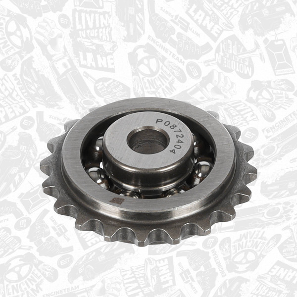RG0012, Gear, balance shaft, Timing gear, ET ENGINETEAM, Audi Seat Skoda VW A2 Cordoba Fabia Polo BNM AMF 1,4 TDI 2000+, 045103319A, 045103319C