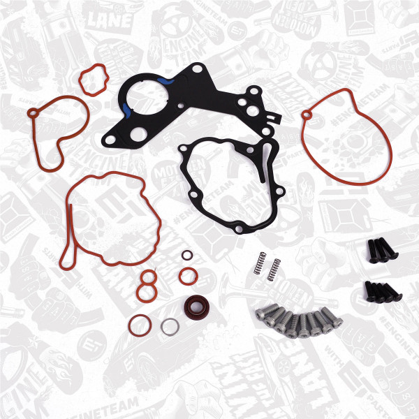 TM0025, Reparatursatz, Unterdruckpumpe (Bremsanlage), Dichtung verschiedene, ET ENGINETEAM, Audi Seat Skoda VW A3 Altea Octavia 1,9 TDI 1,8T AMF BXE 2000+, 038145209, 038145209A, 038145209C, 038145209E, 038145209H, 038145209K, 038145209N, 038145209Q, 7.02551.20.0