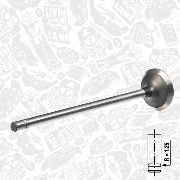 VE0001, Exhaust Valve, Exhaust valve, ET ENGINETEAM, Iveco Stralis/Trakker/EuroTrakker/EuroTech F2BE 1997+, 99457210, 007VA30771000, 150050, 171071, R6267/BMCR, V94219, 171108, 822230, 5001857286, 500354687, 504042363, 504078215, 6267EX, 822230MEC, E5001857286