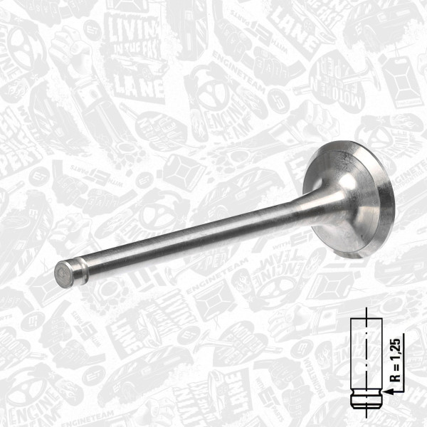VE0010, Exhaust Valve, Exhaust valve, ET ENGINETEAM, Opel Ascona/Astra/Kadette/Vectra 1,6i 1986-2010, 642854, 90232977, 642911, 9117912, 291005, R4384/RCR, V91138, 29300, V94353