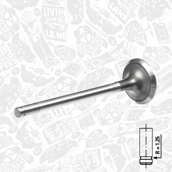 VE0014, Auslassventil, Auslassventil, ET ENGINETEAM, 928M6505D2A, 6911483, 948M6505B2A, 18391, R4634/BMCR
