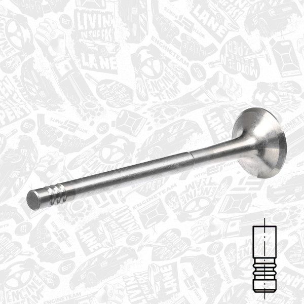 VE0019, Exhaust Valve, Exhaust valve, ET ENGINETEAM, 60812981, 7735899, 171003, R4739/BMCR, V91932, 560016