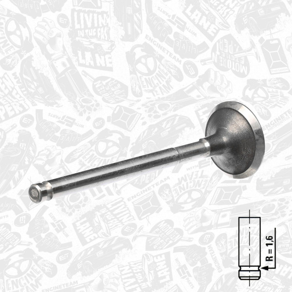 VE0021, Exhaust Valve, Exhaust valve, ET ENGINETEAM, Fiat Bravo/Doblo/Multipla, Lancia Debra/Delta/Lybra 1,6i 182 A4/A6/B61995-2008, 46413807, 46461209, 46462159, 171037, R4781/RCR, V94468
