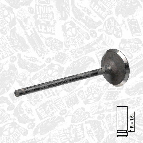 VE0029, Exhaust Valve, Exhaust valve, ET ENGINETEAM, Hyundai Santa Fé, Mitsubishi Eclipse/Galant 1,6/2,0i 1980-2008, 2221233000, MD127841, 50009048, 681VA31289000, R4922/RNT, S3438, V94446