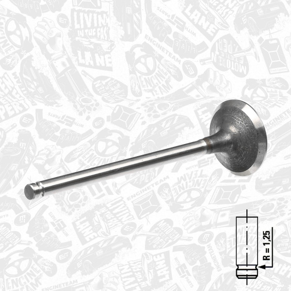 VE0030, Exhaust Valve, Exhaust valve, ET ENGINETEAM, Renault Clio/Kangoo/Twingo 1,2i D7F 1996+, 7701469269, 511020, R4934/R, V94181, R7014/BMARCR