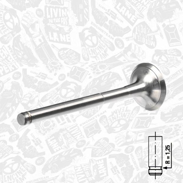 VE0031, Exhaust Valve, Exhaust valve, ET ENGINETEAM, Renault Clio/Kangoo/Megane 1,9D F8Q 1991-2005, 7701469373, 7701471705, 539001, R4942/BM, V94339
