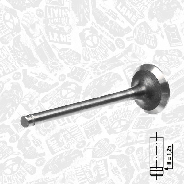 VE0044, Exhaust Valve, Exhaust valve, ET ENGINETEAM, Daewoo Lanos 1,4/1,5i A14SMS/A15DMS/A15SMS 1997+, 96182933, R6095/RCR, V94637