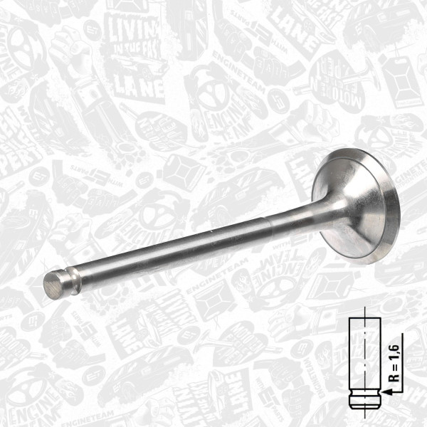 VE0053, Exhaust Valve, Exhaust valve, ET ENGINETEAM, Fiat Doblo/Marea/Multipla 1,6i 1995+, 46761370, 46451209, 55196738, 171043, R6154/RCR, V91950, R7002/BMARCR