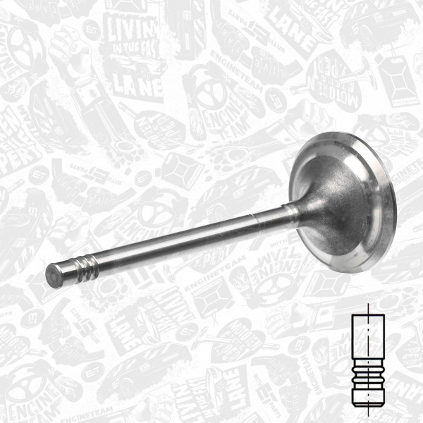 VE0066, Auslassventil, Auslassventil, ET ENGINETEAM, 062109611A, 029VA31163000, 331112, R6313/BMCR