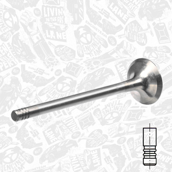 VE0077, Auslassventil, Auslassventil, ET ENGINETEAM, VW Polo, Seat Cordoba/Ibiza 1,4i AFH 1996-1999, 036109611L, 331038, 50009019, R4967/R, V94248