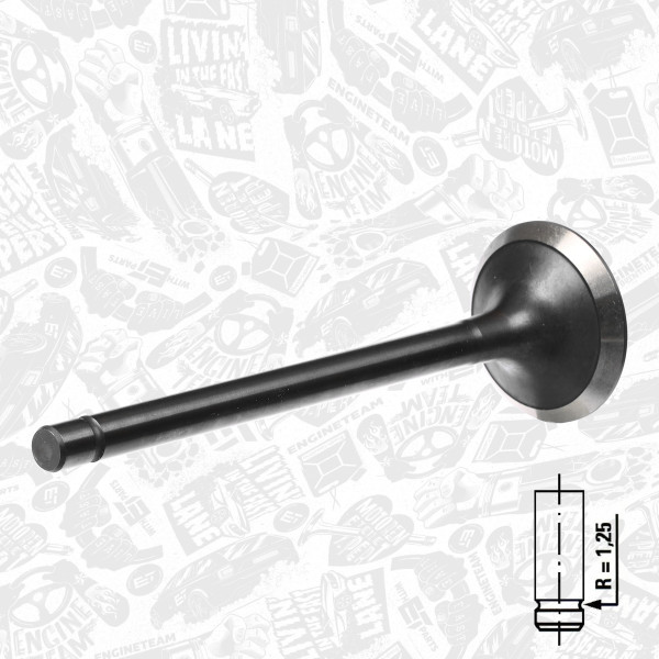 VE0086, Exhaust Valve, Exhaust valve, ET ENGINETEAM, Iveco EuroCargo/Zeta 8040/8060 1987-2000, 4784889, 99432718, 4784890, 99432717, 1904654, 4806717, 1904655, 17076, 823480, R4233/RNT, V91302, R4233/BMNT, V91304