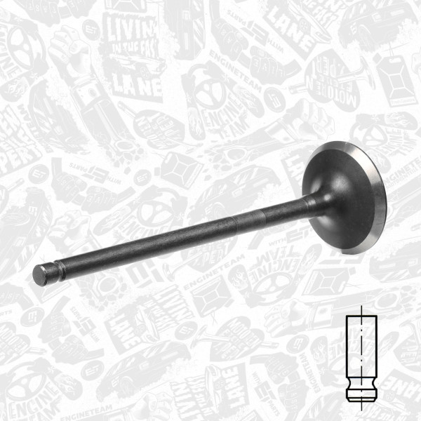 VE0113, Exhaust Valve, Exhaust valve, ET ENGINETEAM, Ford Focus/Mondeo, Mazda 6 2,0i 2000+, 1124377, LF01-12121, 181109, R6371/RNT, V98033