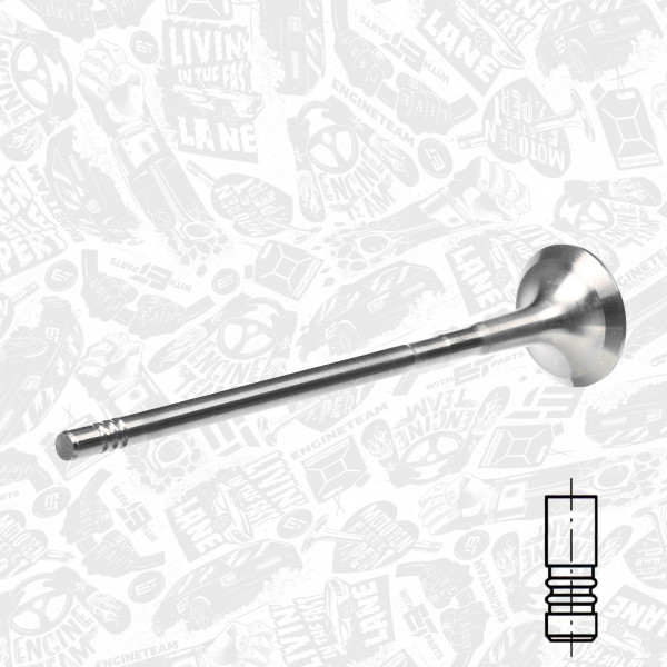 VE0114, Exhaust Valve, Exhaust valve, ET ENGINETEAM, Alfa Romeo Fiat Lancia 1,6/1,9/2,0/2,4D/JTDM 2003+, 55205183, 55207955, 55220016, 552200160, 552229340, 641403, 641106, 55574148, 641465, 55565262, 291116, 827320, R6388/BMCR, V98006