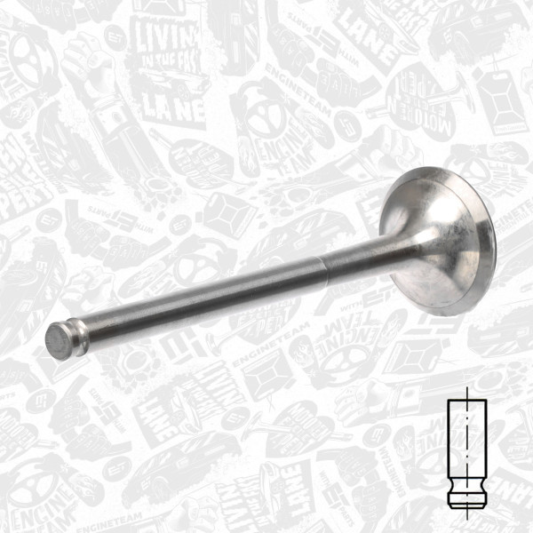 VE0124, Exhaust Valve, Exhaust valve, ET ENGINETEAM, Fiat Regata/Ducato 1,7/1,9D 1984-2001, 5990533, 17079, R3954/RCR, V91321