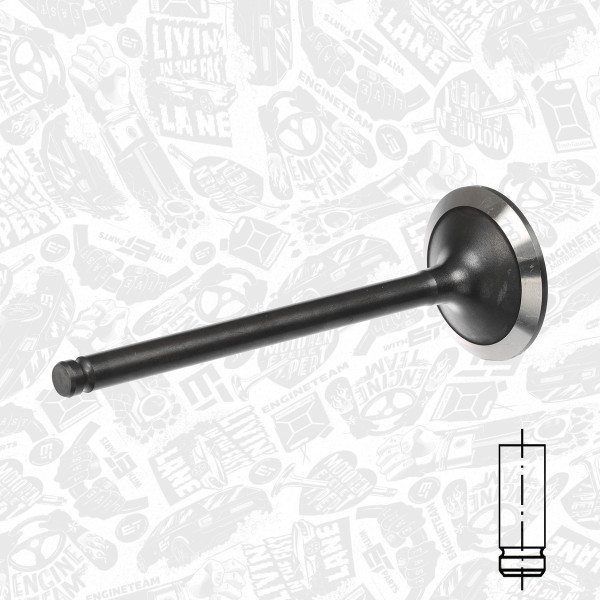 VI0003, Intake Valve, Inlet valve, ET ENGINETEAM, Citroen Fiat Iveco Lancia Opel 2,5/2,8D/HDi 1974+, 0948.A2, 7301820, 7701463603, 17062, R3989/RNT, V91292, 171120, R3642/BMNT, R3989/BMNT