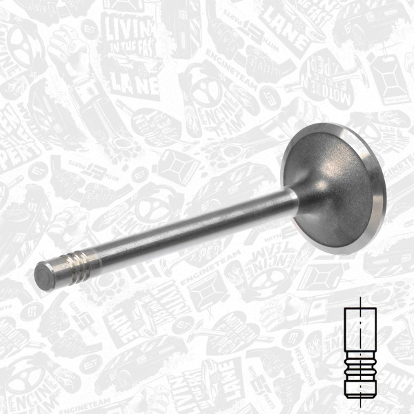 VI0010, Intake Valve, Inlet valve, ET ENGINETEAM, Ford Transit 2,5D/DI 1983-2000, 894F6507A1B, 1050570, 105-35508, R4631/RCR, V91160