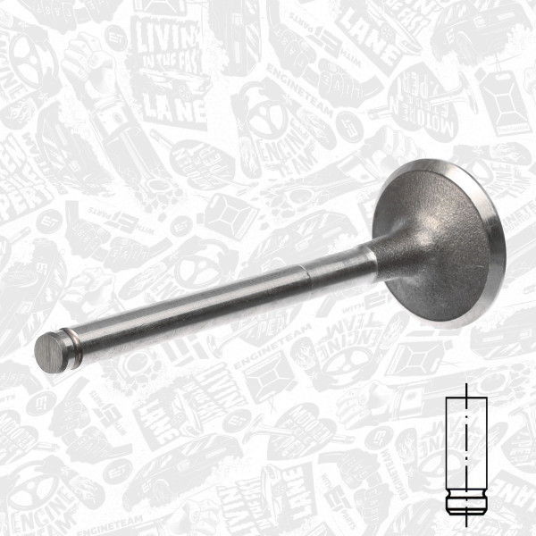 VI0012, Intake Valve, Inlet valve, ET ENGINETEAM, Renault Clio/Kangoo/Megane 1,9D F8Q 1991-2005, 7701468190, R4719/S, R4719/BM