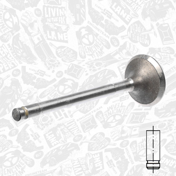 VI0018, Intake Valve, Inlet valve, ET ENGINETEAM, Fiat Lancia 1,6i 182 A4/182 A6/182 B6 1995-2010, 1669766, 46413806, 46517325, 171036, R4780/SCR, V91949, R6153/SCR, R7001/SARCR