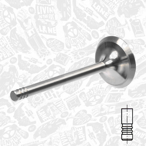 VI0021, Intake Valve, Inlet valve, ET ENGINETEAM, Skoda VW Audi Seat 1,9TDI 1993-2010, 028109601K, 39520, R4888/BM