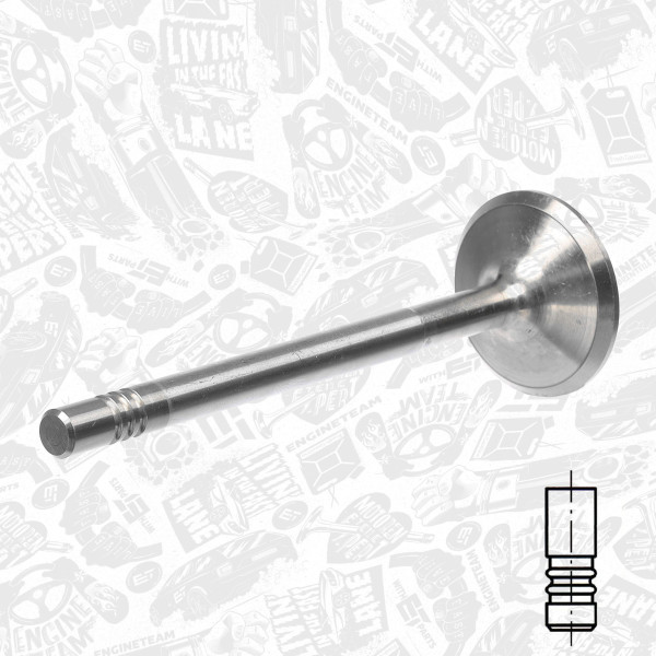 VI0024, Intake Valve, Inlet valve, ET ENGINETEAM, Alfa Romeo Fiat Opel 1,9JTD/CDTI 1996+, 46478834, 46527855, 641073, 46750859, 55193126, 641083, 60814605, 171046, R4941/BMCR, V94064, V94470