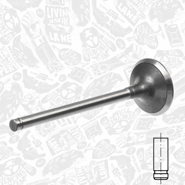 VI0028, Intake Valve, Inlet valve, ET ENGINETEAM, Nissan Opel Renault Volvo 1,9dCi/DTI 1997+, 30889401, 4415921, 7700110387, 7701471702, 1320100QAC, 4402633, 1320100QAM, 13201AW300, 511013, R4973/S, V94190