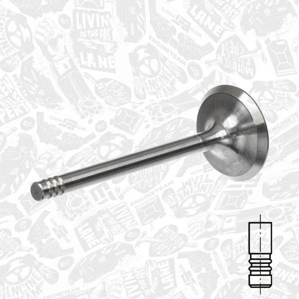 VI0032, Intake Valve, Inlet valve, ET ENGINETEAM, Skoda VW Audi Seat 1,9D 1989-2001, 028109601B, 39395, R6036/S, V94108, V94727